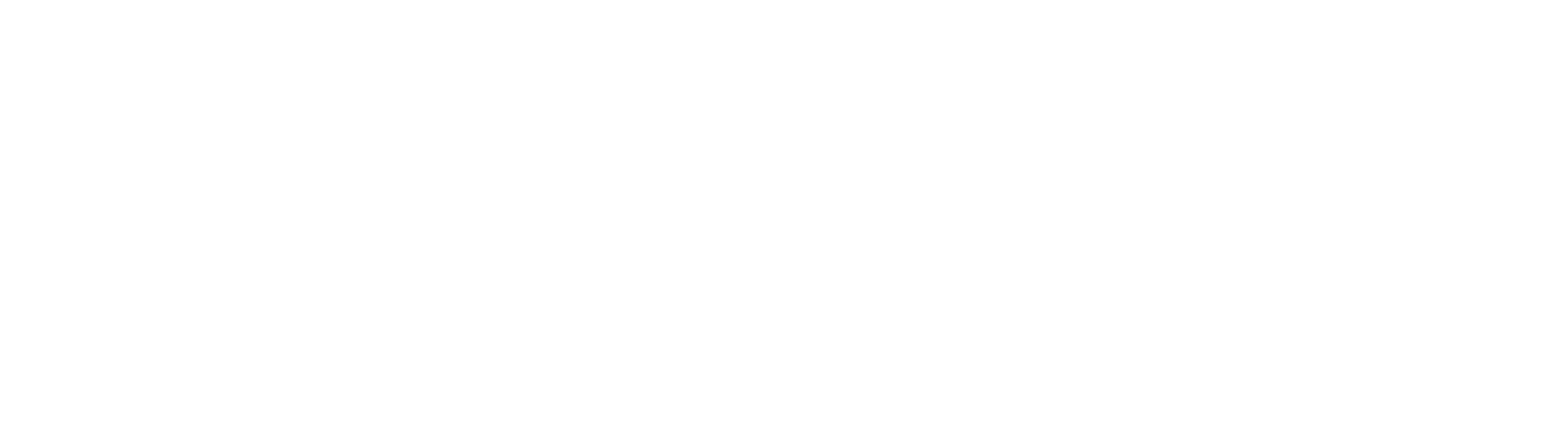 Exceptional Agility AI logo